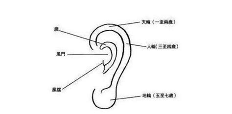 耳門面相|面相——耳朵里的命運奧秘